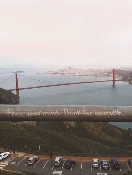 VSCO - 🌾 | gemmastyles Venom Aesthetic, Venom Let There Be Carnage, Transamerica Pyramid, Eddie Brock, Gif Art, Vintage Quotes, Indie Hipster, Hipster Grunge, The Golden Gate Bridge