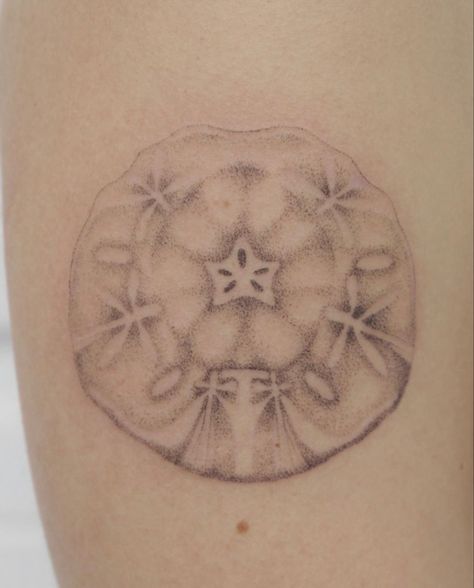 insta//mossysticks Turtle Shell Tattoo, Anemone Tattoo, Shell Tattoo, Shell Tattoos, Sea Anemone, Turtle Shell, Anemone, Tatting, Tattoos