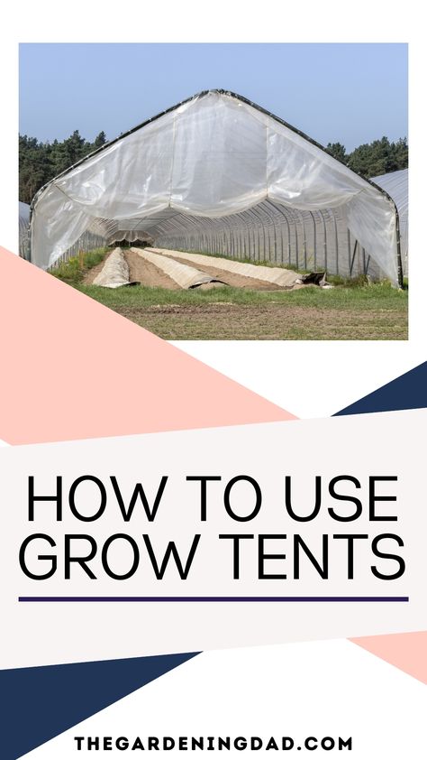 Using Grow Tents is essential if you want a better garden this year! Learn How to Use Grow Tents, what the best grow tents are for your herbs, vegetables, and fruits, and what to look for when buying grow tents! #growtents #gardening #garden Grow Tents Indoor, Climate Zones, Row Covers, Grow Tent, Cold Frame, Greenhouses, All Plants, Amazing Gardens, Being Used