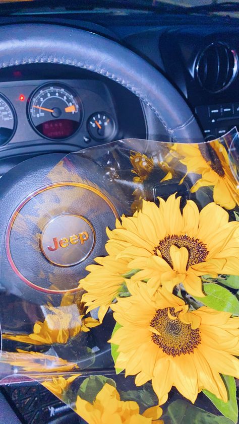 #sunflower #jeep #summer Sunflower Jeep, Jeep Summer, Flowers Aesthetic, Studio Ideas, March 2024, Simple Things, Dream Cars, Jeep, Vision Board