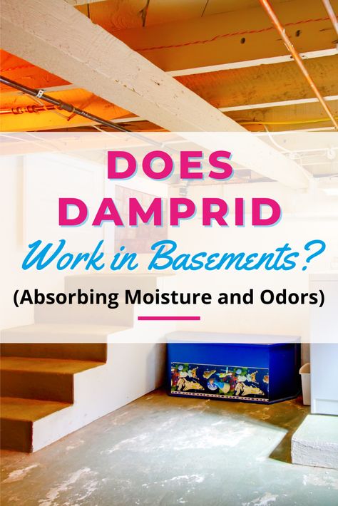 Stuck on how to get rid of basement odors? We feel you. If you're wondering how well DampRid works to this effect, we've broken it down for you with expert-backed tips for using this product to absorb moisture and odors. Musty Basement How To Get Rid Of, Basement Odor, Getting Rid Of Rats, Flooded Basement, Bad Odor, What To Use, Cleaners Homemade, The Basement, Under Stairs