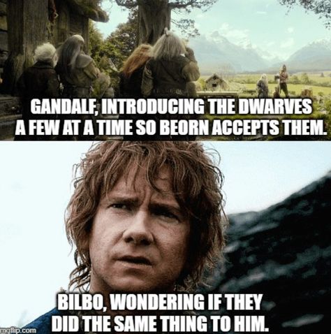 Hobbit Funny, Lotr Funny, Into The West, Fandom Memes, Short Movie, Funniest Memes, Jrr Tolkien, December 12, Middle Earth