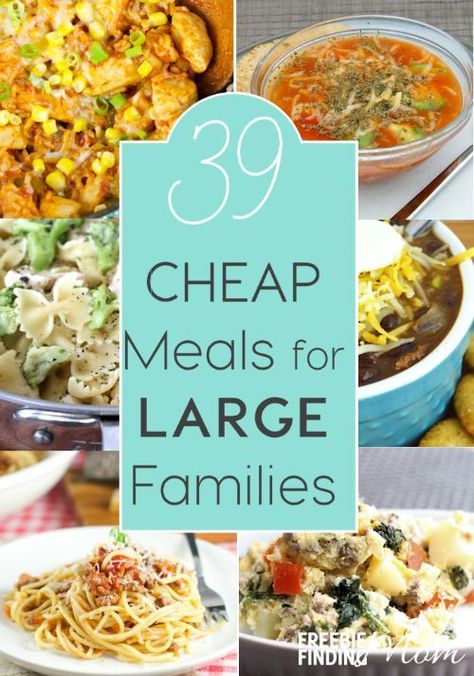 Have a big family but a small budget? No problem! Here are 39 cheap meals for large families that are sure to inspire you. You’ll find crockpot recipes, chicken recipes, pasta recipes, and more! Cheap Meals For Large Families, Meals For Large Families, Large Family Meals, Budget Recipes, Large Families, Inexpensive Meals, Cooking For A Crowd, Cheap Dinners, Cooking On A Budget