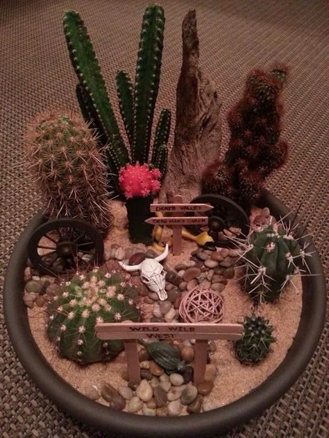 Desert Succulent Terrarium, Cactus Fairy Garden, Desert Fairy Garden, Cactus Dish Garden, Desert Terrarium Ideas, Terrarium Desert, Desert Fairy, Desert Terrarium, Mini Cactus Garden