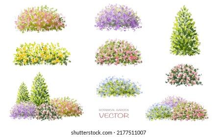 Vector set of four seasons ,watercolor blooming flower tree side view isolated on white background for landscape and architecture drawing,elements for environment or and garden,botanical elem Seasons Watercolor, Drawing Elements, Garden Botanical, Flower Tree, Landscape Concept, Watercolor Plants, Creative Block, Landscaping Plants, Flowering Trees