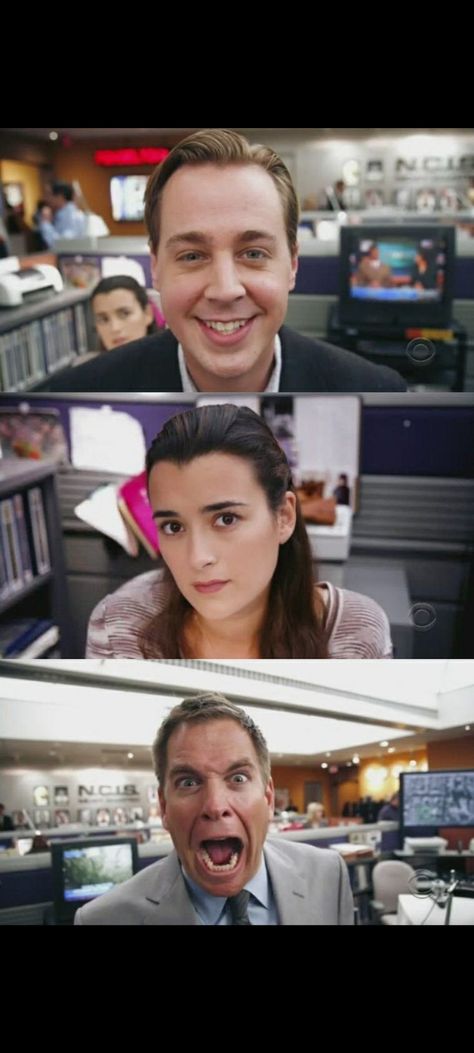 Abby Ncis Aesthetic, Ziva David Aesthetic, Ncis Fanart, Ncis Wallpaper, Ncis Rules, Ncis Funny, Tony Dinozzo, Anthony Dinozzo, Timothy Mcgee