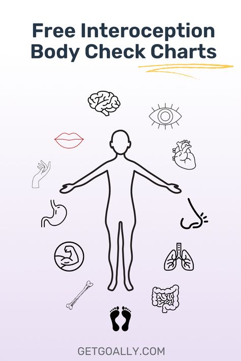 Body Signals Emotions, Interoception Body Check, Interoception Activities For Kids, Body Sensations, Body Chart, Body Diagram, Body Check, Chart For Kids, Musculoskeletal System