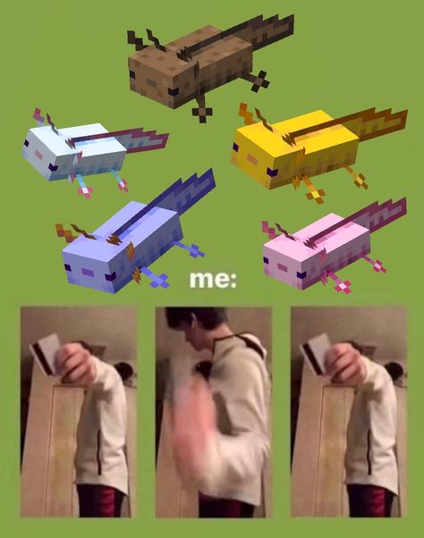 Minecraft Axolotl Habitat, Axolotl Minecraft, Minecraft Memes, Facebook Memes, Minecraft Designs, Fb Memes, I Can Relate, Reaction Pictures, Mood Pics