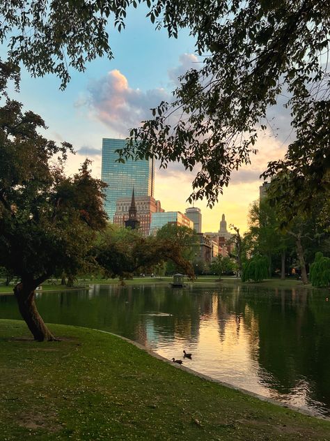 boston
new england
garden
coastal cities
new england summer
end of summer
golden hour 
fall bucket list Nature Aesthetic Sunset, Summer Golden Hour, Boston Aesthetic, England Garden, New England Garden, New England Summer, England Summer, Boston Public Garden, Sunset City