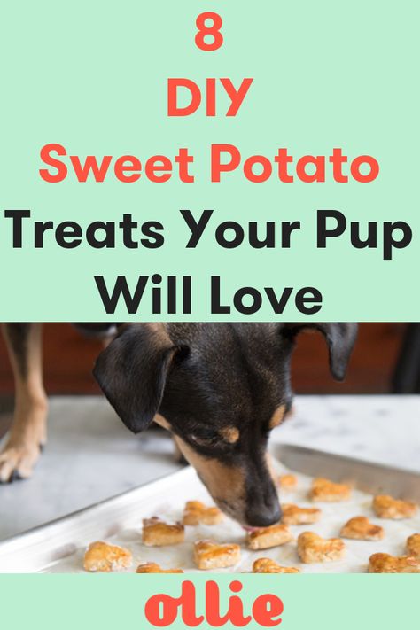 Recipes For Dogs, Help With Digestion, Homemade Dog Cookies, Dogs Accessories, Puppy Obedience Training, Dog Biscuit Recipes, Positive Dog Training, Training Dogs, Dog Diy