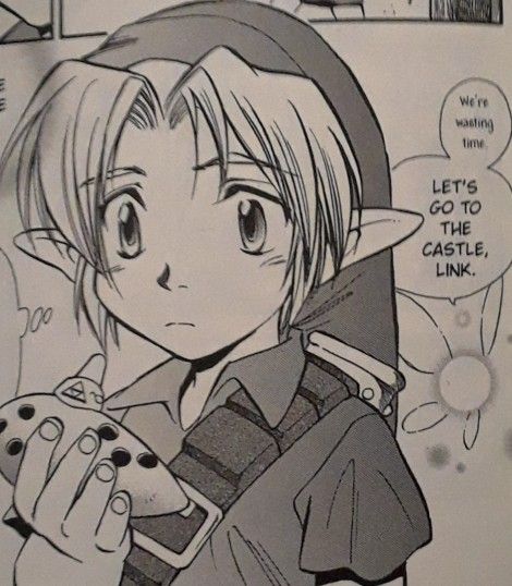 Loz Manga, Ocarina Of Time Manga, Akira Himekawa, Zelda Ocarina Of Time, Drawing Wall, Wind Waker, Aesthetic Grunge Outfit, Bee And Puppycat, Zelda Art