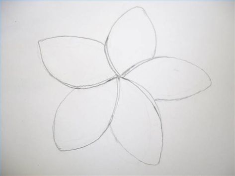 How To Draw Hawaiian Flowers Easy, Hawaiian Painting Ideas Easy, How To Draw A Hawaiian Flower, Hawaiian Painting Ideas, Draw Hawaiian Flowers, Hawaiian Flower Drawing, Hibiscus Flower Drawing, Flowers Step By Step, Flowers Mandala