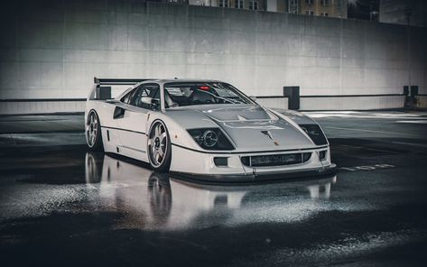 white cars #car #vehicle #Ferrari Ferrari F40 #1080P #wallpaper #hdwallpaper #desktop Ferrari F40 Lm, Maserati Merak, White Ferrari, Maserati Granturismo, Ferrari Cars, Stance Nation, Euro Cars, Ferrari F40, Wallpaper White