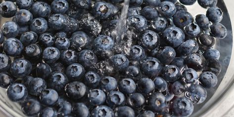 How to Wash and Store Blueberries for Maximum Freshness — Country Living Blueberry Video, Summer Fruit Recipes, Holiday Entertaining Food, Country Living Fair, Family Friendly Recipes, Fresh Summer, Garden Edging, Holiday Entertaining, Family Friendly Meals