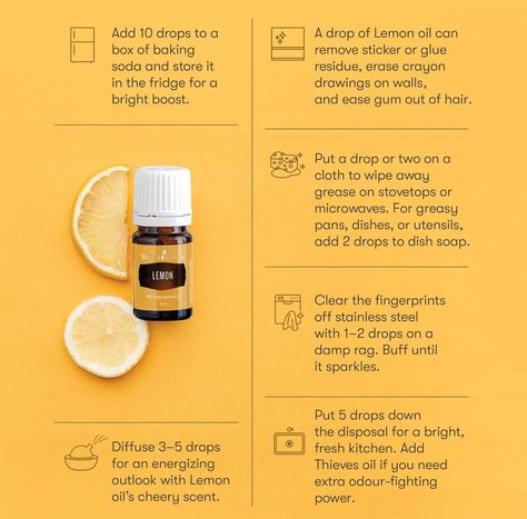 Lemon essential oil has many use are a few more ways to use it around the house. What's your favorite way to use Lemon 🍋 Essential Oil? Young Living Lemon Essential Oil, Essential Oils 101, Lemon Essential Oil, Oil Blends, Pure Essential Oils, Perfume Oils, Young Living, Essential Oil Blends, Oil Blend