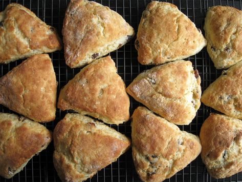 Yoghurt Scones – Hiroko's Recipes Scones Ingredients, Scones Recipe, High Calorie Meals, Scone Recipe, 3 Ingredient, Food Stuff, 3 Ingredients, Scones, Tray Bakes