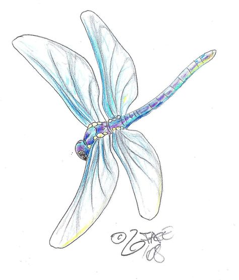 Dragonfly Tattoo Design - see more designs on http://thebodyisacanvas.com Donkey Pictures, Dragonfly Tattoos, Tatoo 3d, Dragonfly Artwork, Dragonfly Cards, Dragonfly Drawing, Purple Dragonfly, Dragon Flys, Dragonfly Painting