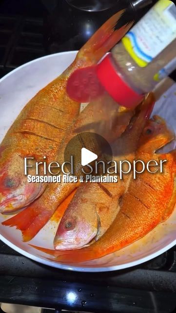 Seafood Network🦞🦐🦀🦑🐙🍤 on Instagram: "Fried Snapper, seasoned rice and plantains 😭
@dashofblancoo" Whole Fried Snapper, Fried Red Snapper Recipes, Yellowtail Snapper Recipe, Snapper Fillet Recipes, Fried Snapper, Red Snapper Recipes, Snapper Recipes, Red Snapper, Seasoned Rice