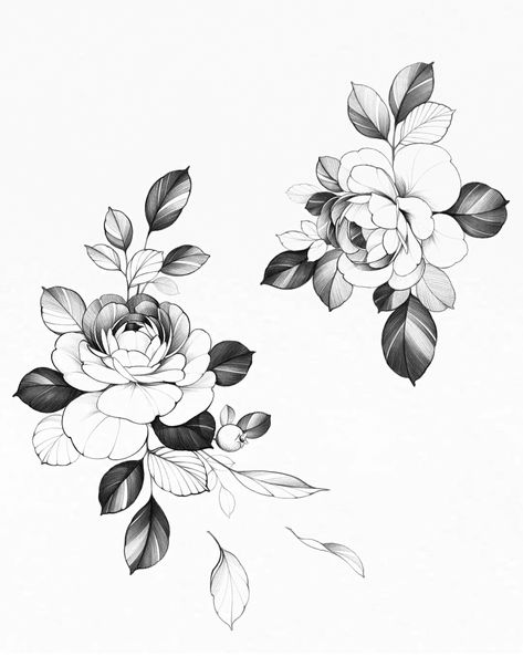 Instagram: dobby.house Delicate Flowers Drawing, Peony Outline Tattoo, Poppy Tattoo Design, Peony Flower Tattoo Design, Peony Flower Drawing, Poppy Flower Drawing, Peony Flower Tattoos, Flor Tattoo, Peony Drawing