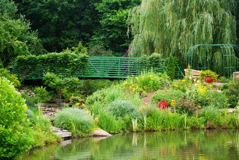 Overland Park Arboretum Overland Park Arboretum, Overland Park, Garden Bridge, Park Bench, Outdoor Structures, Outdoor Furniture, Outdoor Decor