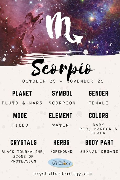 Zodiac Mind Scorpio, About Scorpio, Becoming Your Best Self, Zodiac Quotes Scorpio, Zodiac Sign Scorpio, Scorpio Art, Astrology Scorpio, Scorpio Zodiac Sign, Zodiac Signs Chart