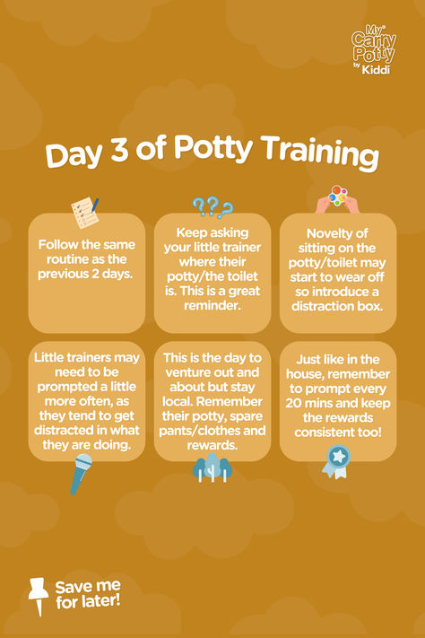 ✨🧻 THE FIRST DAYS OF POTTY TRAINING 🧻✨ Starting potty training? Here’s a quick guide for the first three days (see other pins for day 1 and 2: Day 3 📋 Same routine. ❓ Keep asking, “Where’s your potty?” 🎁 Use the distraction box. 🎤  Increase prompts every 20 mins. 🚶‍♀️Venture out locally with essentials packed!  #mycarrypotty #pottytrainingtips #firstdayofpottytraining #parentingtips #portablepotty 3 Day Potty Training Method Boys, Diy Potty Training Chart Ideas, Potty Training Toddler Boy, Potty Training Schedule, Potty Training Guide, Potty Training Methods, Parker James, Potty Training Rewards, Easy Potty Training