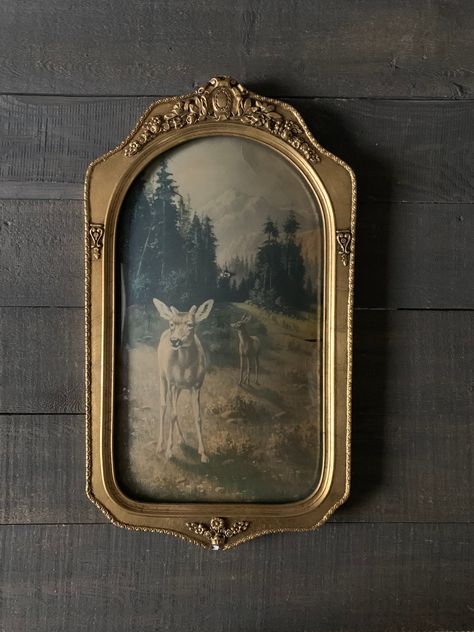 Antique Art Frame, Old Picture Frames On The Wall, Golden Frame Aesthetic, Vintage Gold Frames, Portrait Frame Ideas, Vintage Frame Aesthetic, Vintage Picture Frames On The Wall, Old Picture Frame Ideas, Old Photo Frames