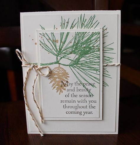 Stamped Christmas Cards, Christmas Card Inspiration, Pine Branches, Stampin Up Christmas Cards, Hallmark Cards, Pine Branch, Stampin Up Christmas, Card Christmas, Christmas Cards To Make