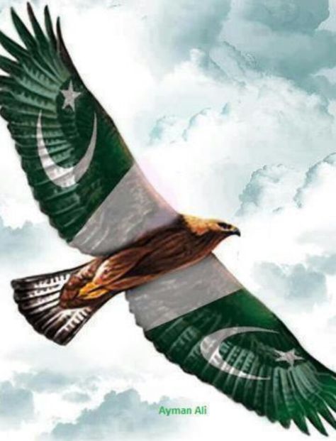 Pakistan Flag Dp, Flag Dp, Pakistan Independence Day Images, Pakistan Flag Wallpaper, Pakistan Wallpaper, August Pictures, Happy Independence Day Pakistan, Independence Day Wallpaper, Pakistani Flag