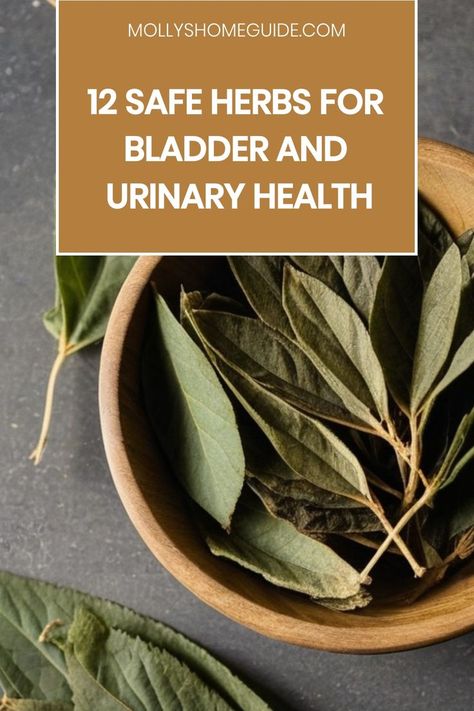 Bladder-Rebalancing Herbs For Urinary Tract Infections, Uva Ursi Benefits, Home Remedies For Urinary Infection, Bladder Infections Home Remedies, Urinary Tract Infections Home Remedies, Urinary Infection Remedies, Bladder Cleanse, Ayurvedic Tips, Bladder Health