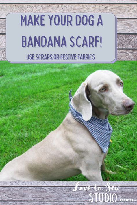 DIY Bandana Scarf for Your Dog Dog Bow Tie Diy, Diy Bandana, Dog Bandana Diy, Bandanas Diy, Dog Bandana Pattern, Dog Neckerchief, Dog Sewing Patterns, Wearing Scarves, Diy Dog Toys