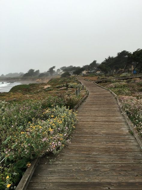 Moonstone Beach (Cambria) - 2019 All You Need to Know BEFORE You Go (with Photos) - TripAdvisor Cambria California, Soothing Images, Moonstone Beach, Vacation Wishes, Travel Noire, Coastal Life, Zen Meditation, California Beach, Beach Town