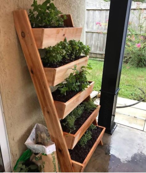 Ladder Planter, Diy Planters Indoor, Garden Ladder, Herb Garden Pallet, Outdoor Herb Garden, Lots Of Plants, Cedar Planter Box, Diy Herb Garden, Cedar Planters