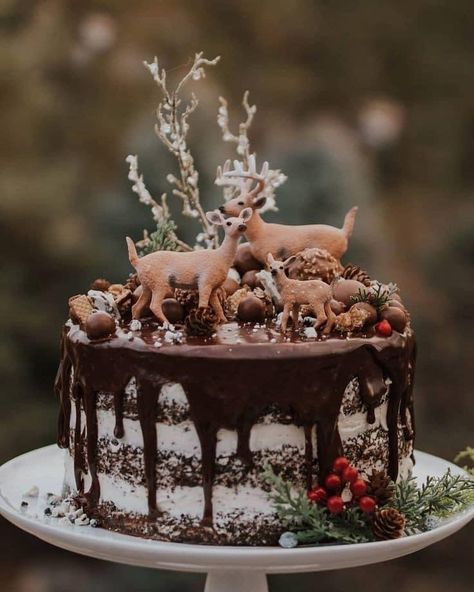 Christmas Cake Buttercream, Wicked Cupcakes, Deer Hunting Cake, Cake Buttercream Frosting, Moose Cake, Cake Winter, Hunting Cake, Deer Cakes