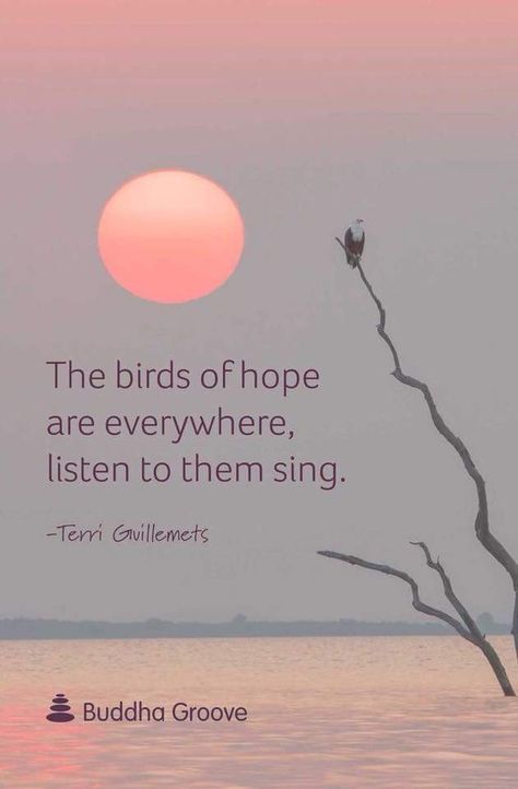 Singing Quotes Funny, Bird Sayings, Quotes About Hope, Long Distance Quotes, Buddha Thoughts, Singing Quotes, Bird Quotes, Animal Supplies, Happy Sunday Quotes