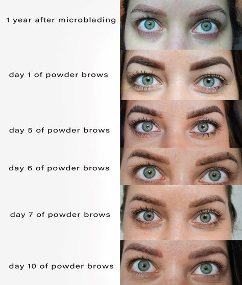 My Experience with Powder Brows (Eyebrow Tattoo) Phi Brows Microblading, Permanent Eyebrow Tattoo, Eyebrows Tattoo, Eyebrow Before And After, Tattoo Eyebrows, Micro Blading, Ombre Eyebrows, Permanente Make-up, Straight Brows