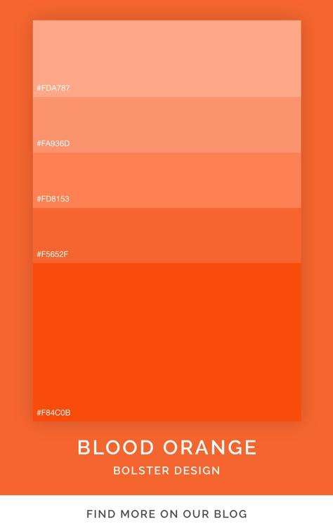 Blood orange color palette inspiration that can be used in graphic design, UX UI projects and websites. #design #colorpalette #palette Orange Monochrome Color Palette, Serious Color Palette, Orange Pantone Colour Palettes, Orange Brand Color Palette, Blood Orange Color Palette, Orange Branding Design, Orange Packaging Design, Orange Website Design, Website Design Orange