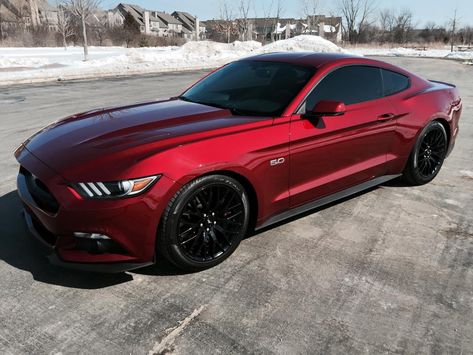 Car Mustang, 2015 Mustang Gt, Red Mustang, Mustang Car, Mustang Ecoboost, Ford Mustang For Sale, Ford Mustang Car, 2015 Mustang, Pimped Out Cars