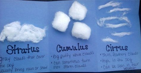 Cotton Ball Cloud Craft Types Of Clouds, Cloud Activities, Teaching Weather, Cloud Type, How To Make Clouds, November Ideas, Weather Crafts, Cloud Craft, Weather Unit