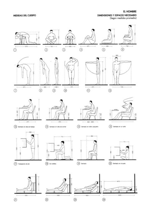 The Evolution in Understanding of Human Scales in Architecture | ArchDaily Da Vinci Vitruvian Man, Architecture Symbols, Human Dimension, Human Scale, Concept Models Architecture, Vitruvian Man, Interior Design Presentation, Furniture Dimensions, Exhibition Space