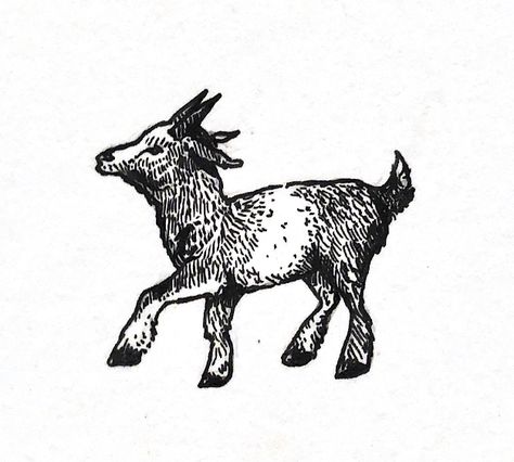 Billy Goat Tattoo, Goat Print, Year Of The Goat Tattoo, American Traditional Goat Tattoo, Two Headed Goat Tattoo, Goat Head Tattoo, Small Goat Tattoo, Goat Tattoo Cute, Baby Goat Tattoo