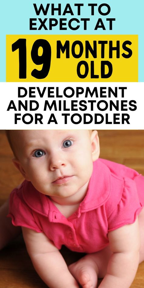 Teach Toddler To Talk, Newborn Play, 19 Month Old, Toddler Board, Toddler Milestones, Development Milestones, Easy Toddler Activities, Meal Times, Teaching Toddlers