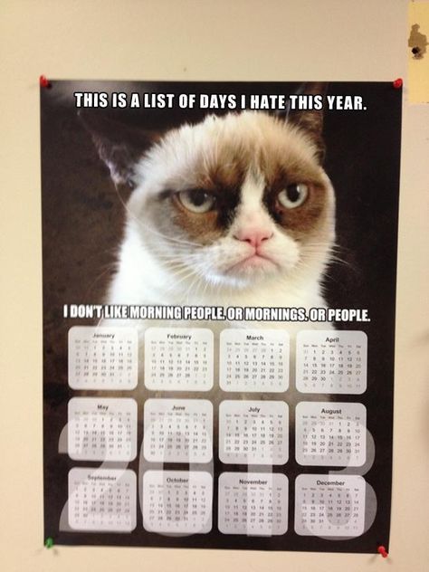 grumpy cat, funny calendars Funny Calendar, Funny Calendars, Grumpy Cats, Cat Calendar, Calendar Poster, Grumpy Cat Humor, A Vet, Dump A Day, Cat Posters