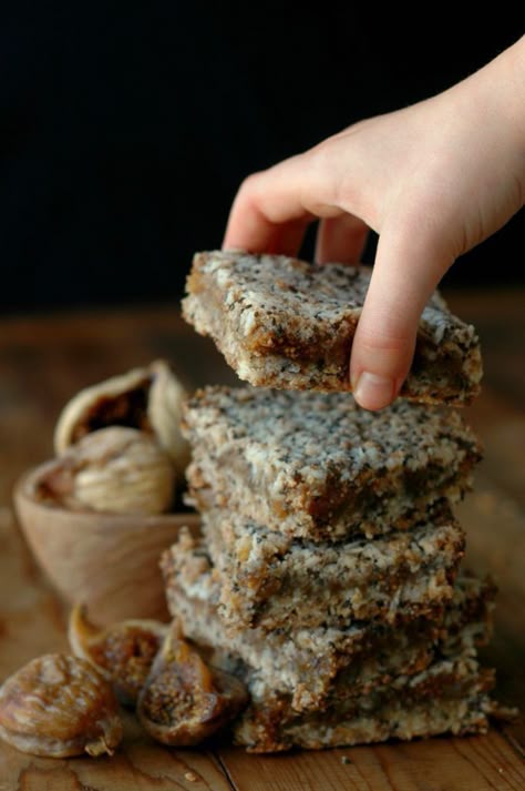 Raising Generation Nourished Fig Breakfast, Figs Breakfast, Bars Gluten Free, Fig Bars, Lectin Free, Fig Recipes, Breakfast Bars, Paleo Breakfast, How To Make Breakfast