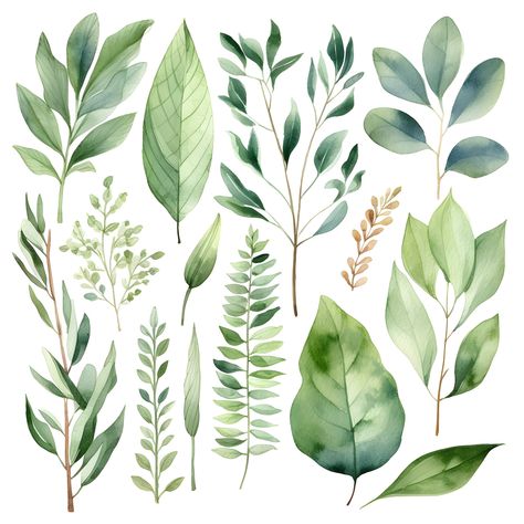 Greenery Clipart, Foliage Leaves, Leaf Silhouette, Leaf Clipart, Watercolor Greenery, Modern Tattoos, Diy Watercolor Painting, Watercolor Images, Diy Watercolor