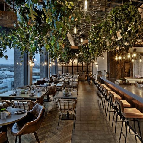 Hotel Rooftop Bar, Nomad Hotel, Treehouse Hotel, Luxury Glamping, London Bars, Rooftop Restaurant, Luxury Boutique Hotel, London Restaurants, London Hotels