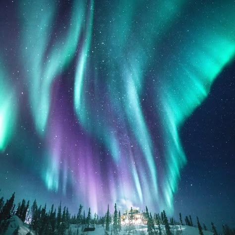 Northern Lights seen from Yellowknife, Northwest Territories, Canada Northern Lights Photography, Aurora Lights, Northern Lights Painting, Northern Lights (aurora Borealis), Aurora Borealis Northern Lights, Northwest Territories, See The Northern Lights, The Northern Lights, The Aurora