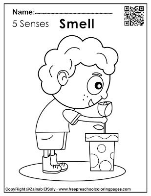 Nose Senses Craft, Sense Of Smell Worksheet Free Printable, Hear Activities For Preschool, Nose Activities Preschool, Smell Activities Preschool, 5 Senses Activities For Kids, Senses Activities For Kids, Nose Coloring, 5 Senses Craft