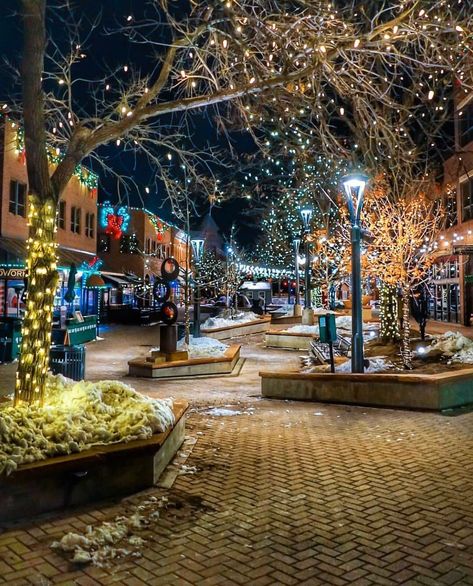 Visit Fort Collins on Instagram: “Let’s keep the holiday feels going in Old Town Fort Collins. These lights stay up through Valentine’s Day and they are beautiful. 📸:…” Disneyland Main Street, Fort Collins Colorado, Colorado State University, Home On The Range, Eugene Oregon, Colorado Usa, Scenic Routes, Fort Collins, Bike Trails