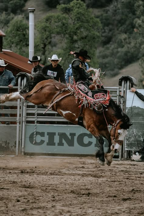 Bronc Riding Photography, Bronc Riding Aesthetic, Nfr Barrel Racing Aesthetic, Bronc Riding Wallpaper, Pbr Aesthetic, Rodeo Life Aesthetic, Bull Riding Aesthetic, Rodeo Wallpapers, Rodeo Wallpaper